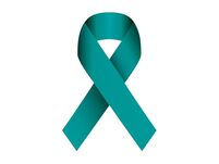 A turquoise ribbon.